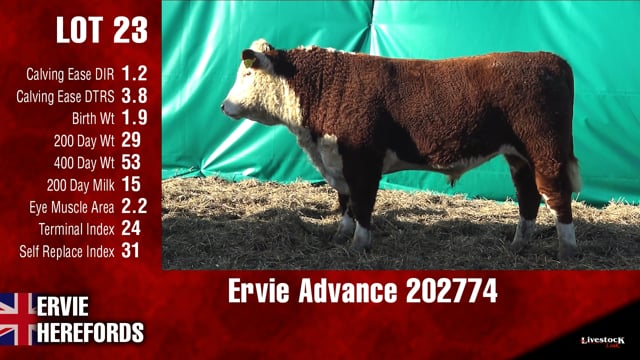 Lot #23 - Ervie Advance 202774