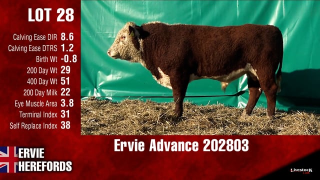 Lot #28 - Ervie Advance 202803
