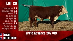 Lot #29 - Ervie Advance 202783