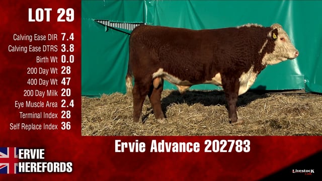 Lot #29 - Ervie Advance 202783