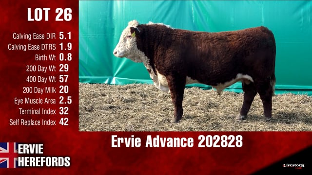 Lot #26 - Ervie Advance 202828