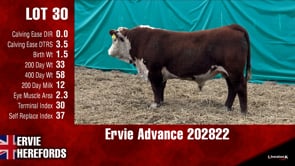 Lot #30 - Ervie Advance 202822