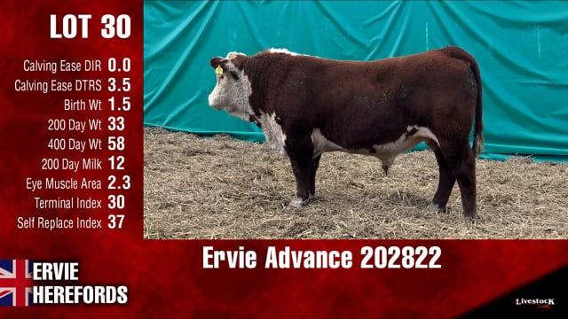 Lot #30 - Ervie Advance 202822
