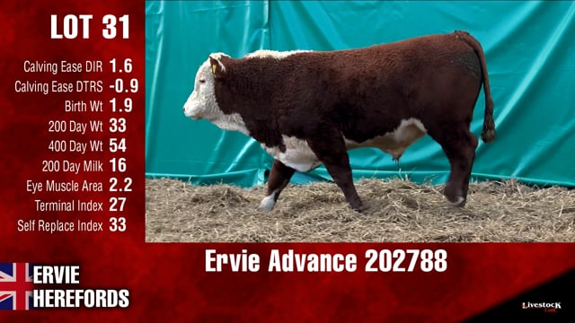 Lot #31 - Ervie Advance 202788