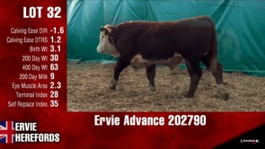 Lot #32 - Ervie Advance 202790