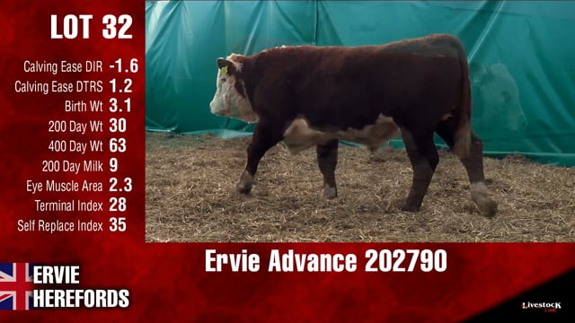 Lot #32 - Ervie Advance 202790