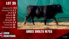 Lot #35 - AIRIES SHOLTO W753
