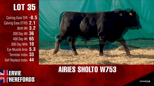 Lot #35 - AIRIES SHOLTO W753