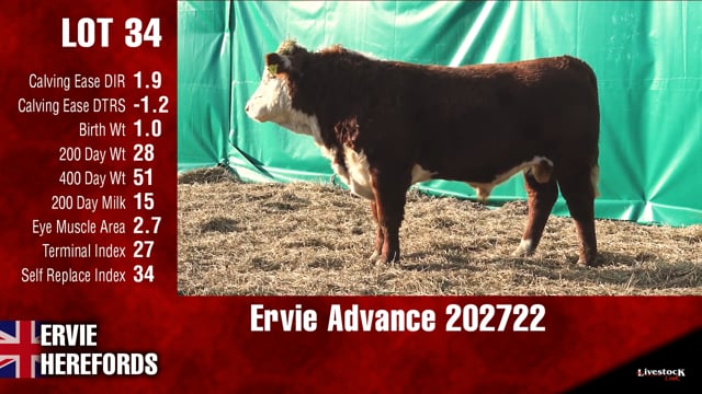 Lot #34 - Ervie Advance 202722