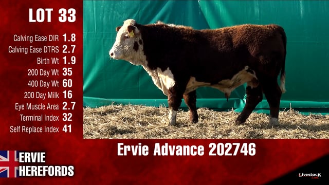 Lot #33 - Ervie Advance 202746