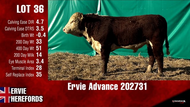 Lot #36 - Ervie Advance 202731