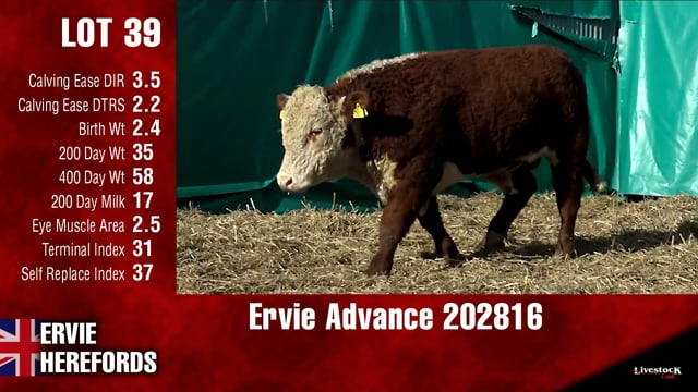 Lot #39 - Ervie Advance 202816