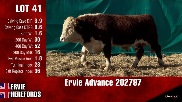 Lot #41 - Ervie Advance 202787