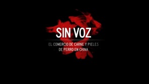 El cruel comercio de CARNE DE PERRO en China  Investigación de Igualdad Animal