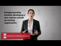 Entrepreneurs &amp; Corporate Intrapreneurs