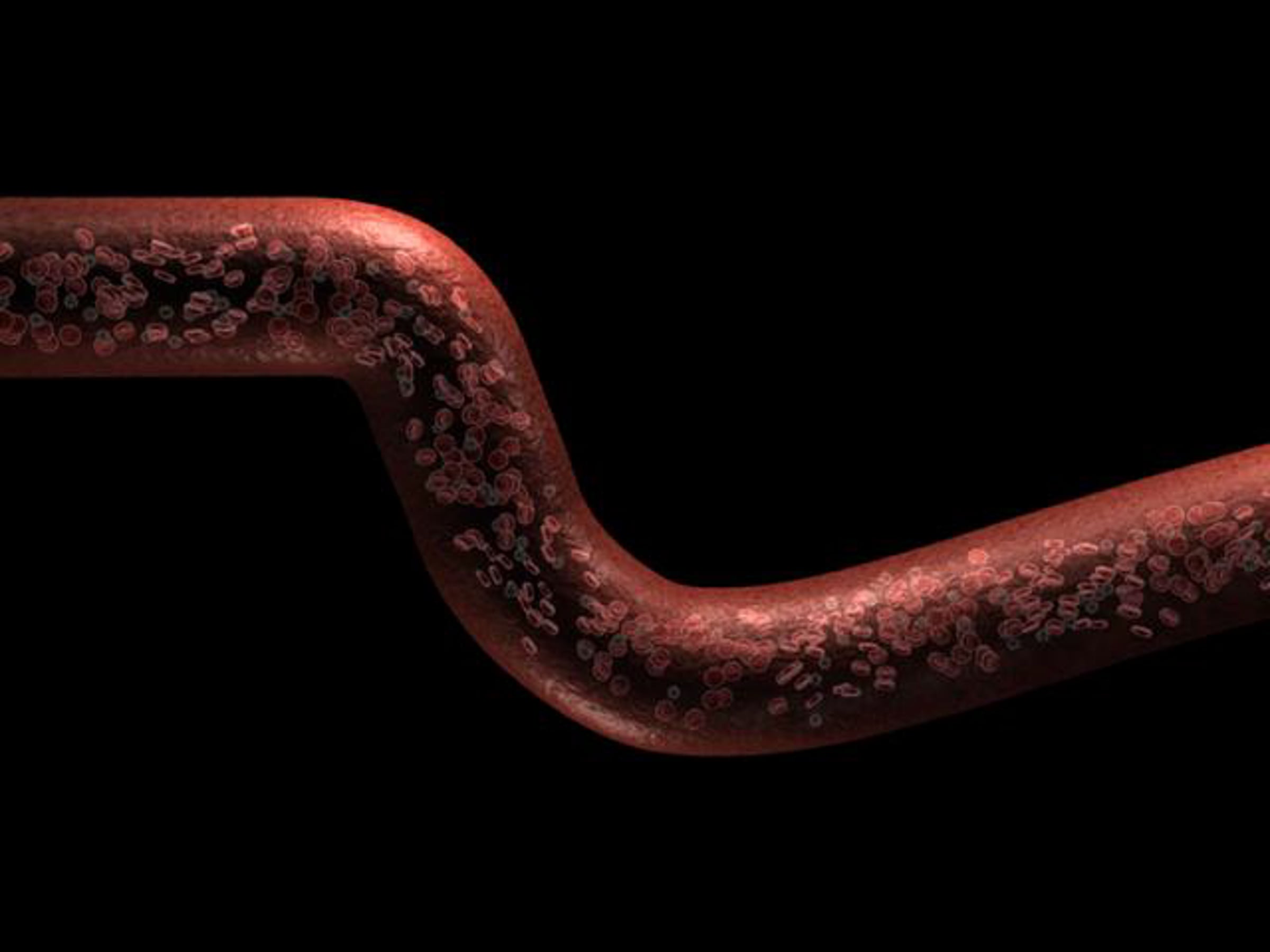 Blood Flow Animation 