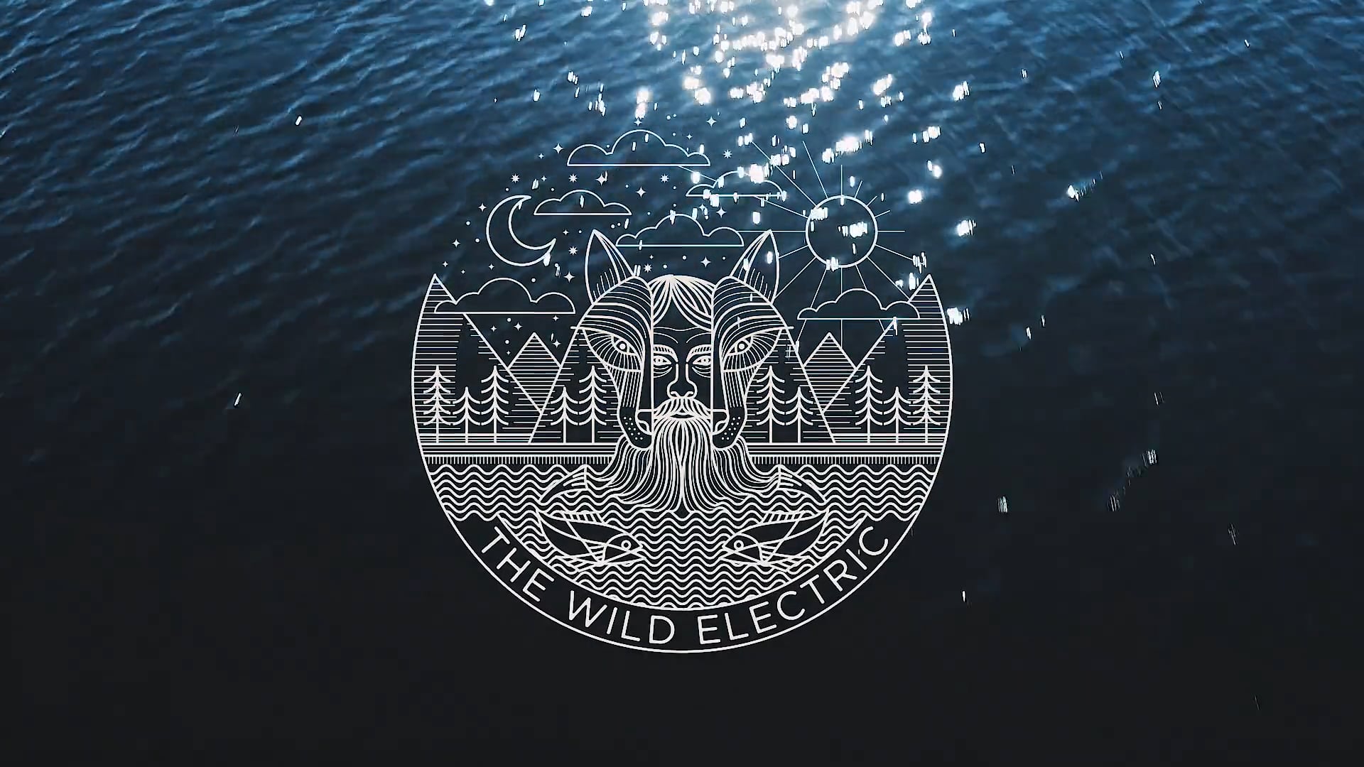 The Wild Electric