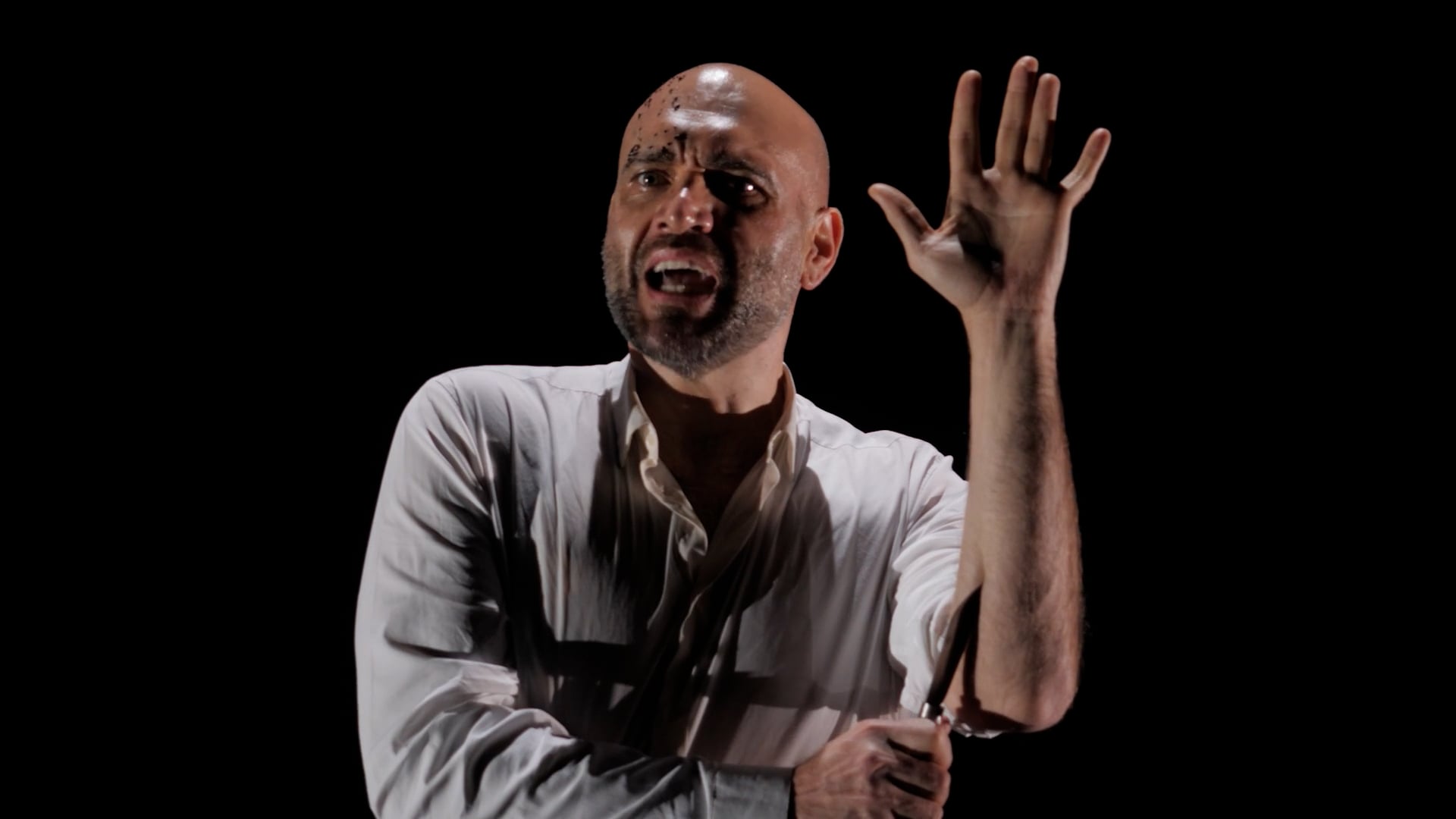 'Winterreise'  Auditori Caixa Forum Barcelona