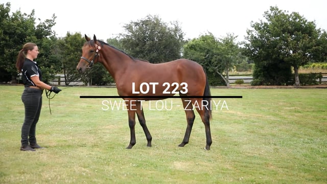 Lot 223