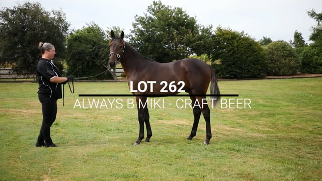 Lot 262