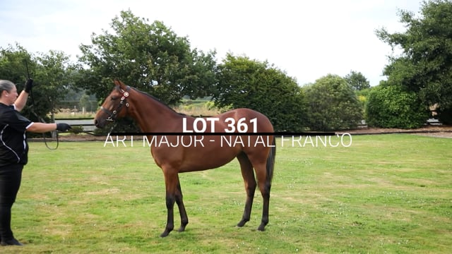 Lot 361