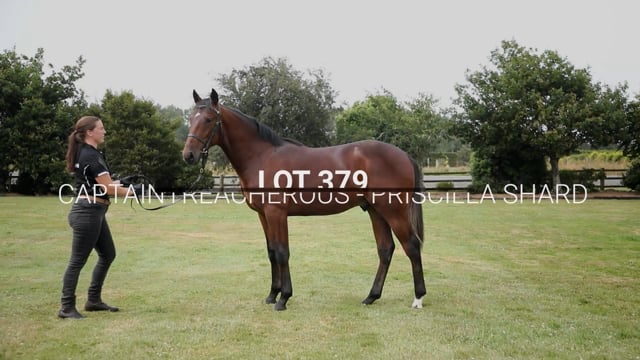 Lot 379