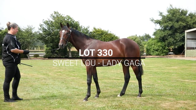 Lot 330