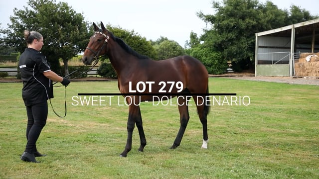 Lot 279