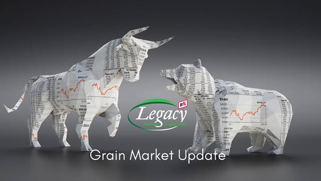 Grain Market Update 1.20.22