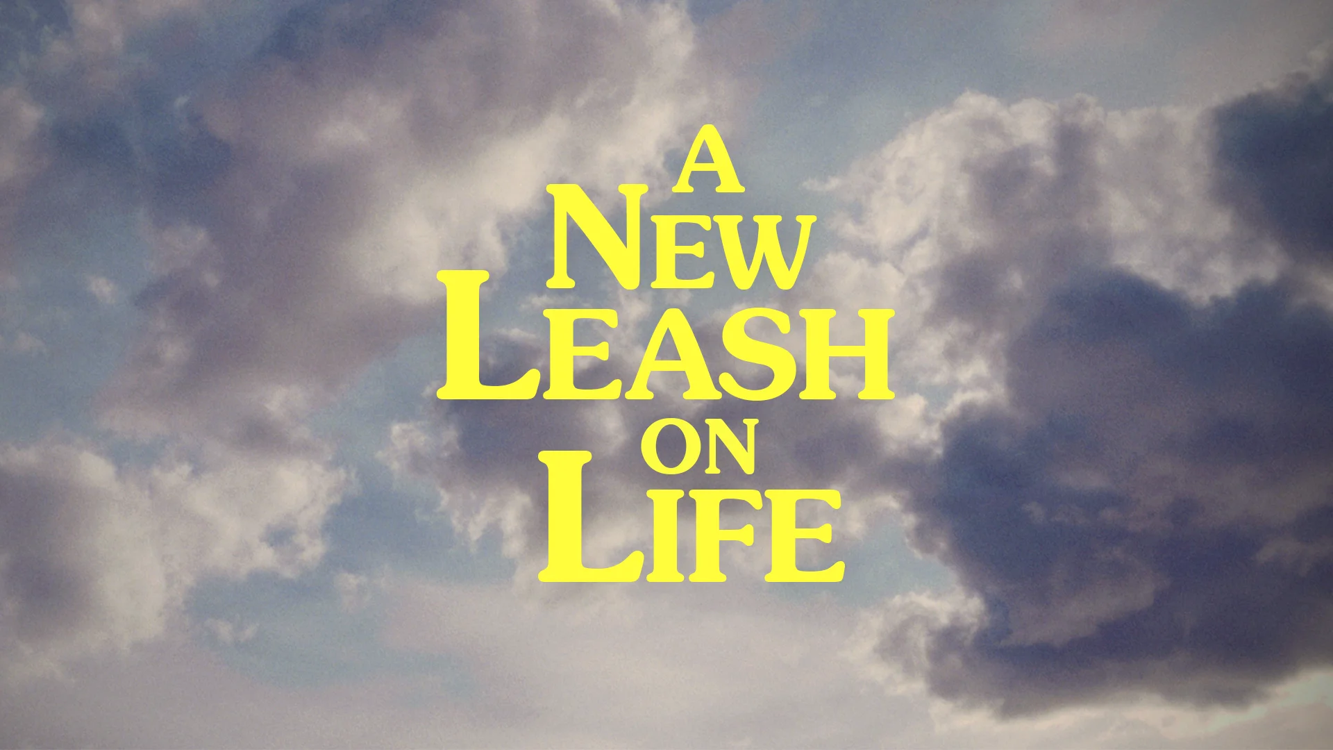 A new leash shop on life movie