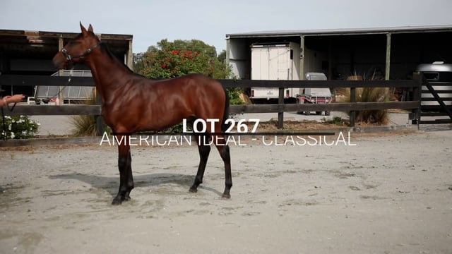 Lot 267