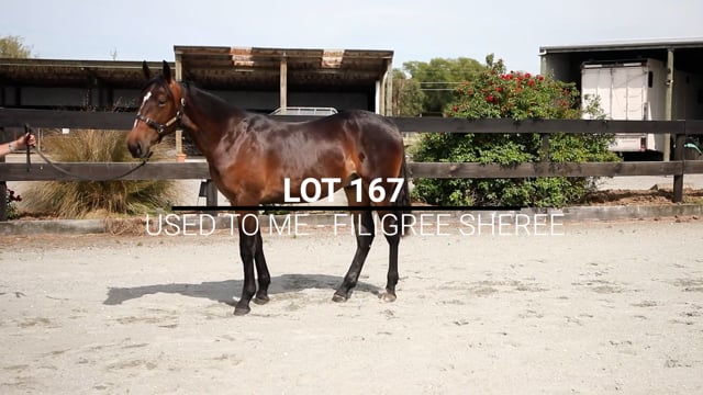 Lot 167
