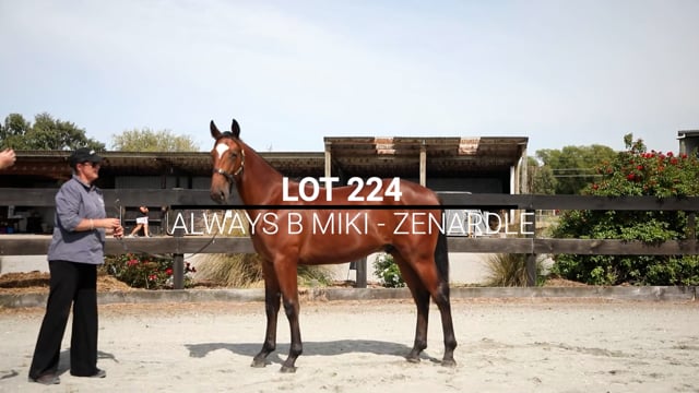 Lot 224