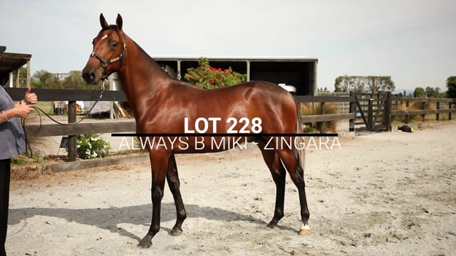 Lot 228