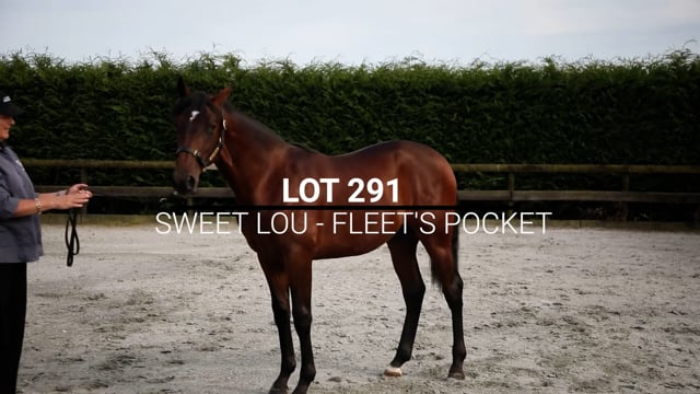 Lot 291