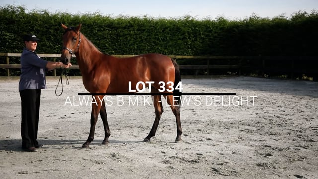 Lot 334
