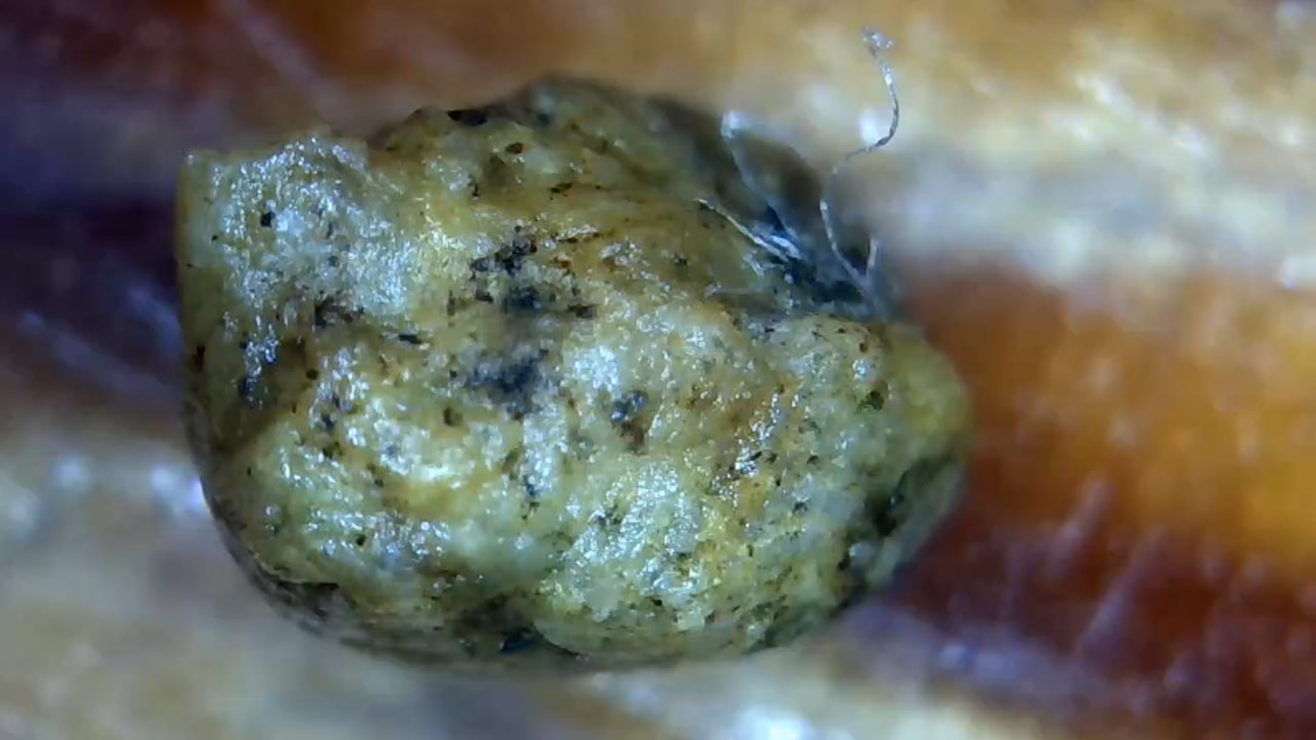 Foot Bottom Node.mp4