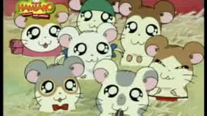 Hamtaro On Vimeo