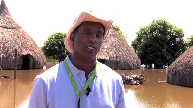Flut in Südsudan: "Wir haben im Wasser geschlafen"