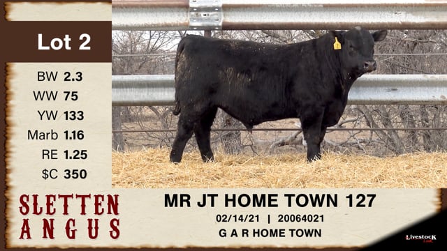 Lot #2 - MR JT HOME TOWN 127