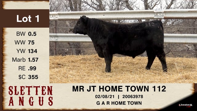 Lot #1 - MR JT HOME TOWN 112