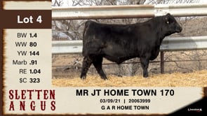 Lot #4 - MR JT HOME TOWN 170