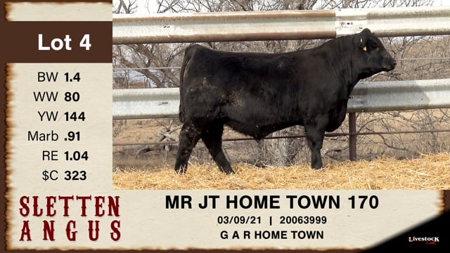 Lot #4 - MR JT HOME TOWN 170