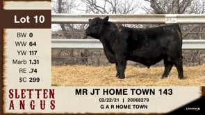Lot #10 - MR JT HOME TOWN 143