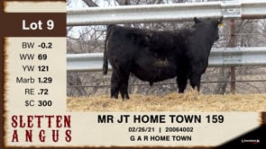Lot #9 - MR JT HOME TOWN 159
