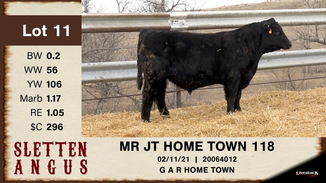 Lot #11 - MR JT HOME TOWN 118