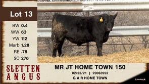 Lot #13 - MR JT HOME TOWN 150