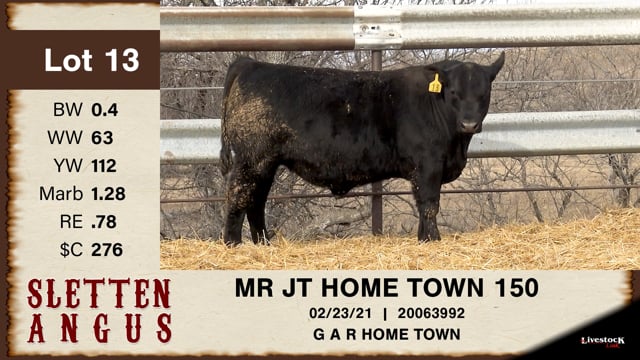 Lot #13 - MR JT HOME TOWN 150