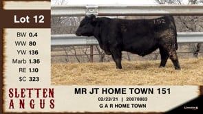 Lot #12 - MR JT HOME TOWN 151