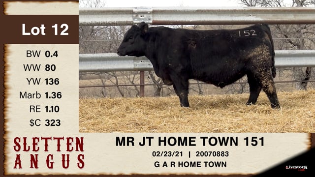 Lot #12 - MR JT HOME TOWN 151